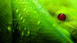 Timeline: Desarrollo sustentable