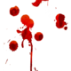 Blood