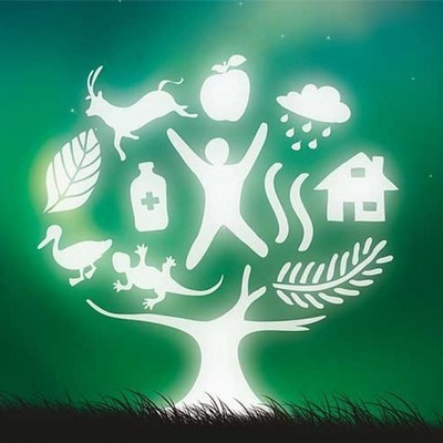 Timeline: Evolución y origen del concepto de Desarrollo sustentable