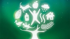 Timeline: Evolución y origen del concepto de Desarrollo sustentable