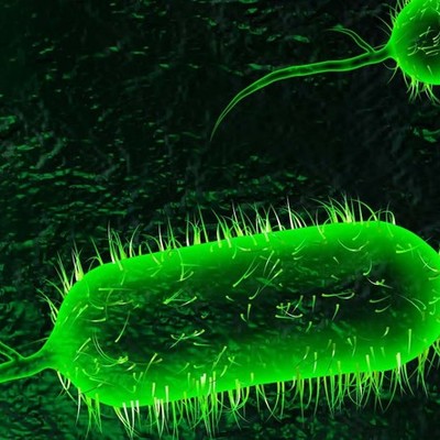Timeline: Model R 1850 - 1900: Cholera