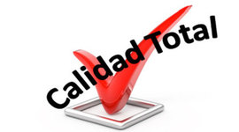 Timeline: EVOLUCION DECALIDAD TOTAL