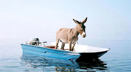 Timeline: Transport på hav