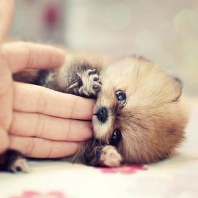 Timeline: my S*u**d time line