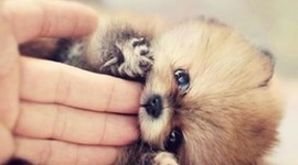 Timeline: my S*u**d time line