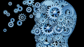 Timeline: Psychology- Savannah Gray