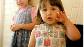 Timeline: Sophe's Road of Life