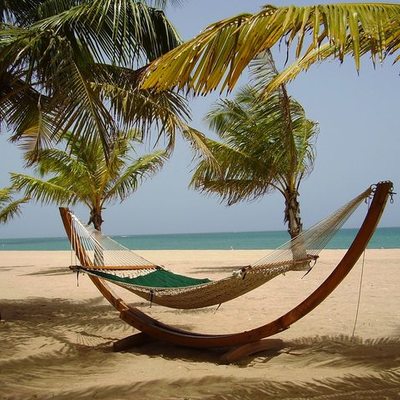 Timeline: Linea de Tiempo Educación a Distancia