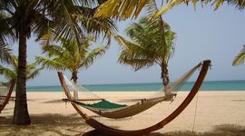 Timeline: Linea de Tiempo Educación a Distancia