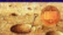 Timeline: Eyla Yelnats