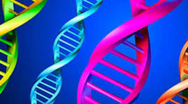 Timeline: History of Genetics