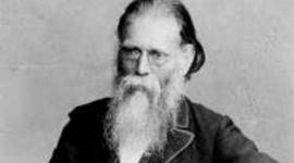 Timeline: פרופסור צבי הרמן שפירא