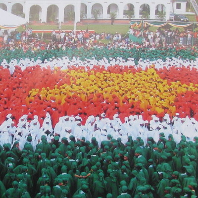 Timeline: Isabella Hutchinson's Suriname Timeline