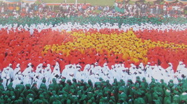 Timeline: Isabella Hutchinson's Suriname Timeline