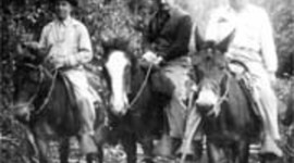 Timeline: Colonización de Coto Brus