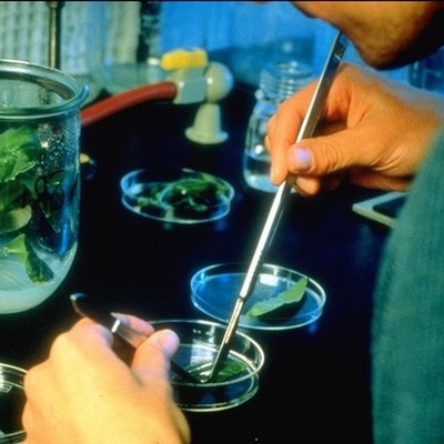 Timeline: Biotecnología mundial y bioprocesos en Colombia.