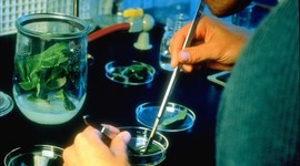 Timeline: Biotecnología mundial y bioprocesos en Colombia.