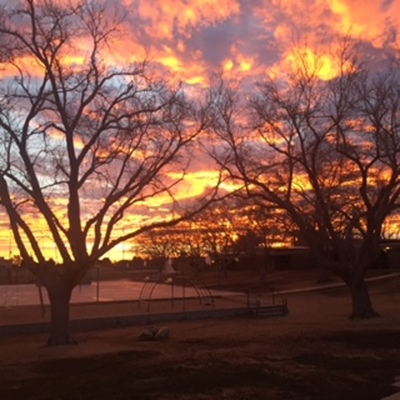 Timeline: Quartz Hill Elementary in 2020