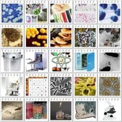 Timeline: Aportes cientificos a la microbiologia