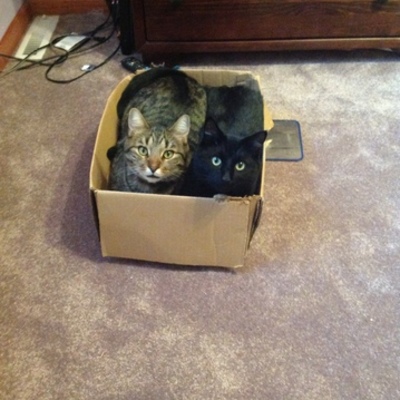 Timeline: Civil War Timeline