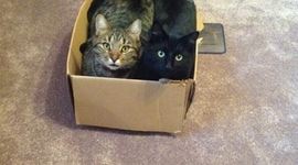 Timeline: Civil War Timeline