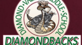 Timeline: Diamond Valley 2020