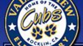 Timeline: VALLEY VIEW ELEMENTARY SCHOOL IN 2020!