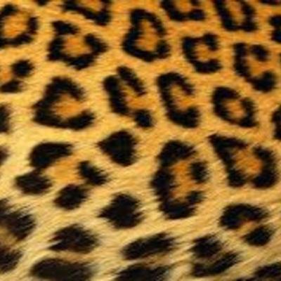 Timeline: Rustic Lane in the Year 2020