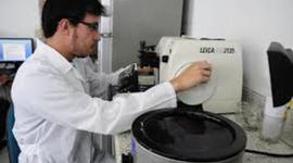 Timeline: Biotecnología y Bioprocesos