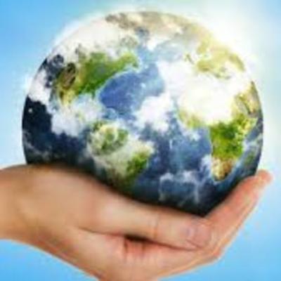 Timeline: The Emergence of Sustainability