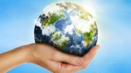 Timeline: The Emergence of Sustainability