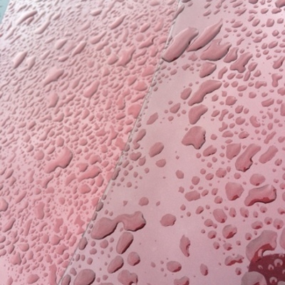 Timeline: Short Term Goal