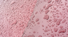 Timeline: Short Term Goal