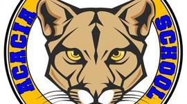 Timeline: Acacia in the year 2020