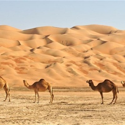 Timeline: Islam and the Early Islamic Empires