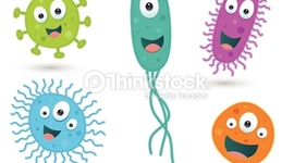 Timeline: Microbiologia!!