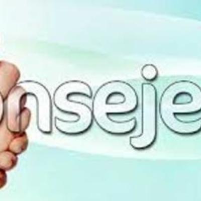 Timeline: Consejeria Profesional