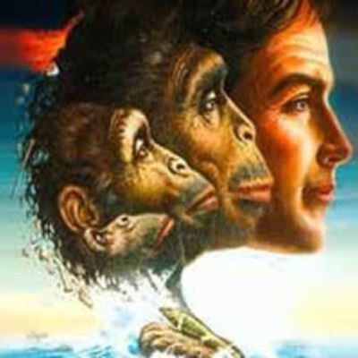 Timeline: Cronología de las teorías de la evolución y sus personajes