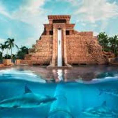 Timeline: Smart Goal: Travel to Bahamas