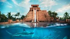 Timeline: Smart Goal: Travel to Bahamas