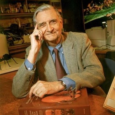 Timeline: E.O. Wilson's Studies and Publications