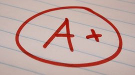 Timeline: Brittanie O'Brien - Goal Timeline