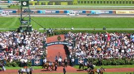 Timeline: Melbourne Cup