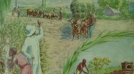 Timeline: Congo: A Brief History