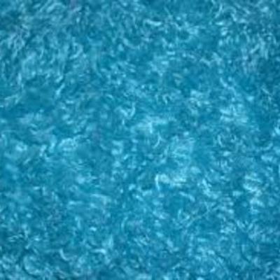 Timeline: Christopher Telan