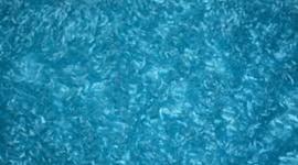 Timeline: Christopher Telan