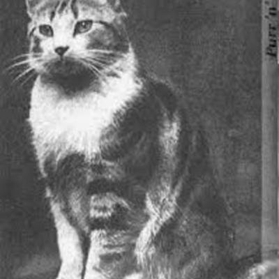 Timeline: Timeline for World War II