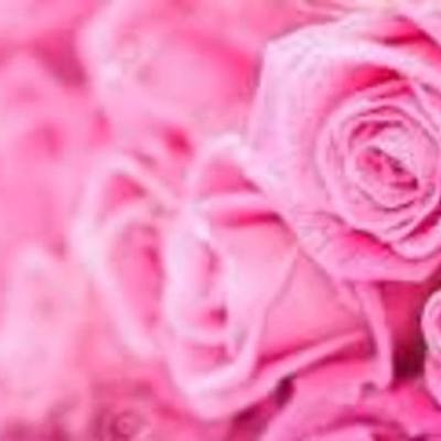 Timeline: The Life of Sandra Jean Daniels