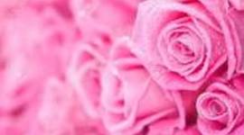 Timeline: The Life of Sandra Jean Daniels