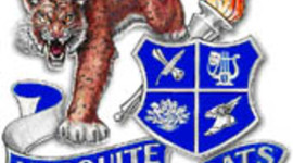 Timeline: Kyle's Timeline